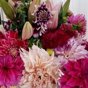 Meet your Posher, Diane